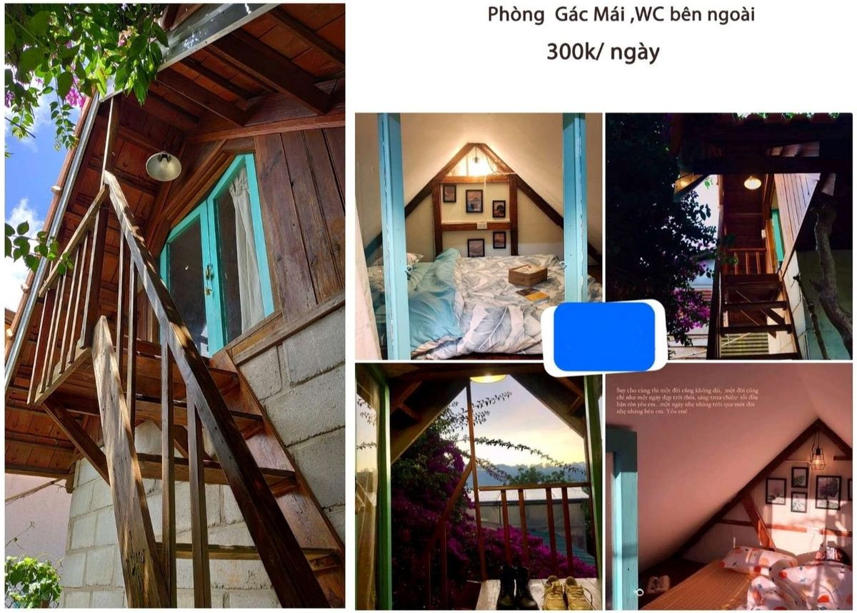 Phòng gác mái với thiết kế độc đáo, có thể tích hợp vườn hoa nhỏ trong nhà dạng chậu treo.