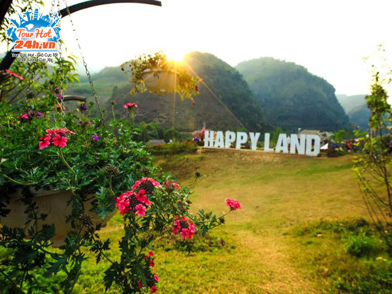 Rừng hoa đa sắc màu tại Happy Land Mộc Châu, thu hút du khách chụp ảnh