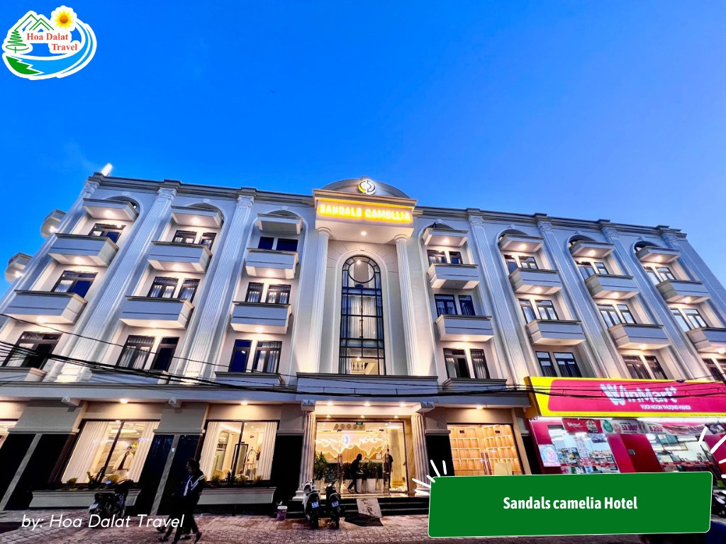 Sandals camelia Hotel với thiết kế hiện đại và vị trí nằm trên đường Phan Đình Phùng