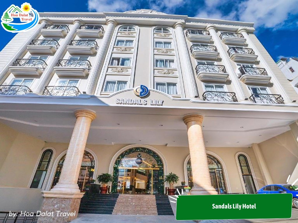 Sandals Lily Hotel nằm ở vị trí trung tâm, gần chợ Đà Lạt, với thiết kế hiện đại và sang trọng