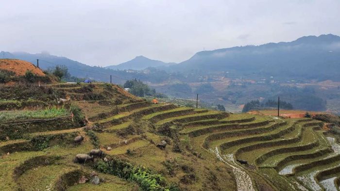 Trekking Bản Má Tra và Bản Tả Phìn, hành trình khám phá địa điểm du lịch Sapa