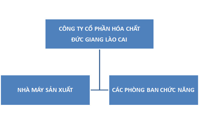 Sơ đồ cấu trúc tổ chức của Công ty Cổ phần Hóa chất Đức Giang Lào Cai, thể hiện hệ thống quản lý và các bộ phận chức năng