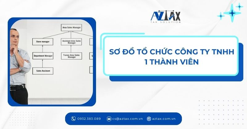 Sơ đồ tổng quan về cơ cấu tổ chức công ty TNHH 1 thành viên theo quy định pháp luật