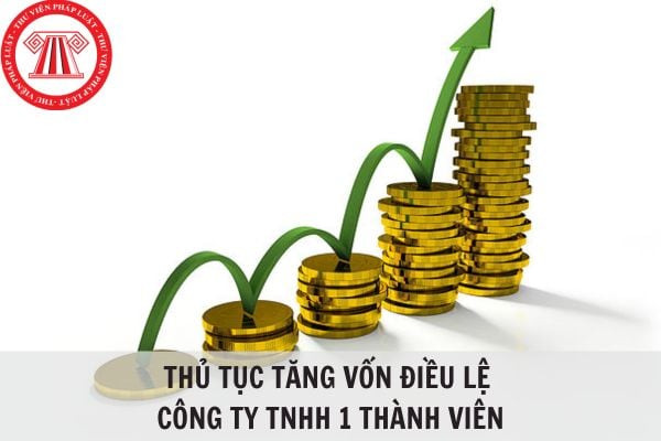 Quy trình và hồ sơ pháp lý cần thiết khi tăng vốn điều lệ công ty TNHH 1 thành viên