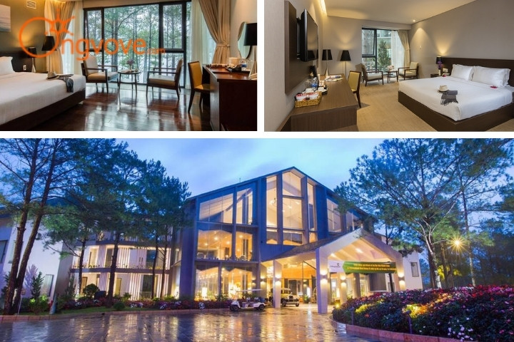Terracotta Hotel &amp; Resort Đà Lạt, một trong những khách sạn trong rừng với view Hồ Tuyền Lâm