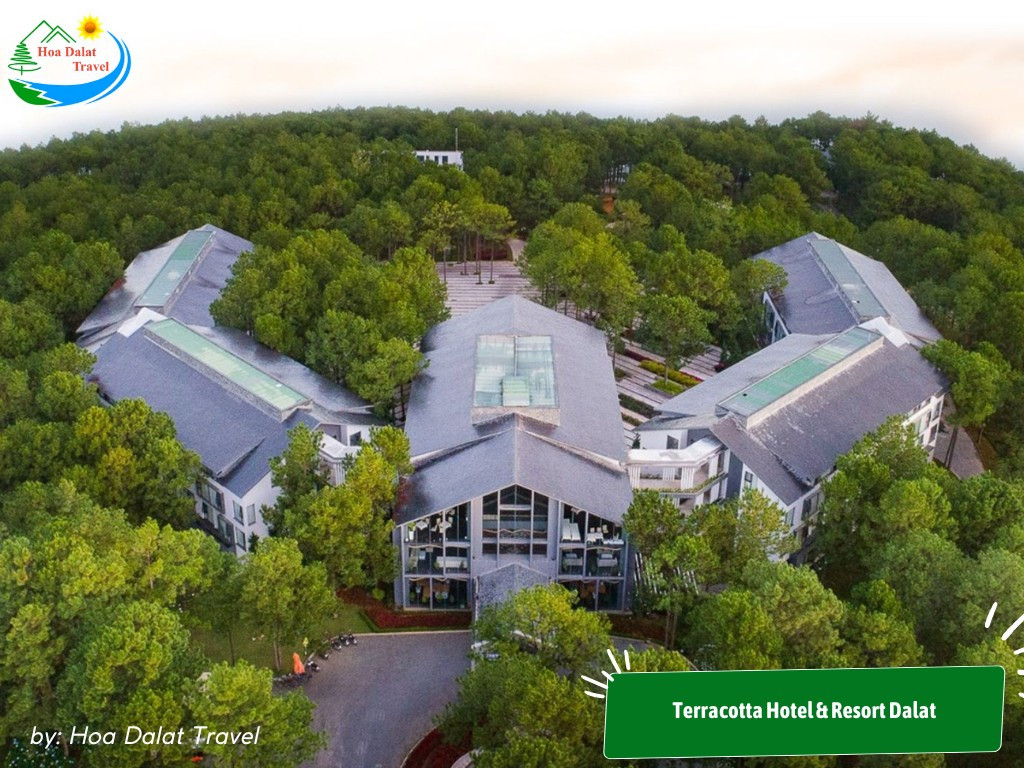 Terracotta Hotel &amp; Resort Dalat bao quanh bởi rừng thông xanh mát