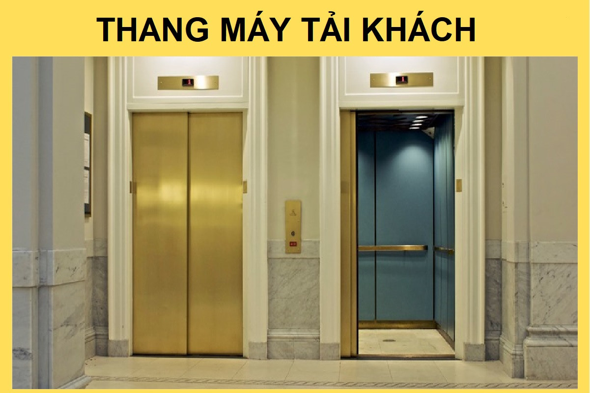 Thang máy tải khách hiện đại, minh họa cho các sản phẩm mà CÔNG TY TNHH THIẾT BỊ VÀ DỊCH VỤ TOÀN CHÂU cung cấp cho các tòa nhà thương mại và văn phòng