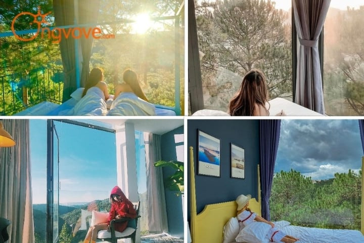 The Kupid Đà Lạt, homestay với không gian mở và view rừng thông tươi đẹp