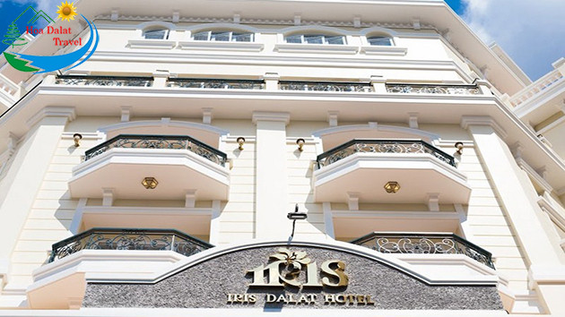 Thiết kế độc đáo của Khách sạn Iris Đà Lạt, lựa chọn 3 sao đường Phan Như Thạch