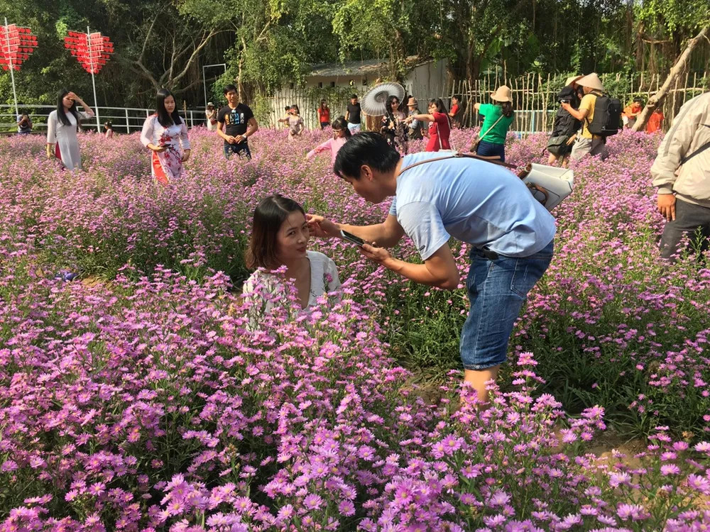 Thợ chụp ảnh chuyên nghiệp đang hướng dẫn du khách tạo dáng giữa vườn hoa Thạch Thảo Cần Thơ