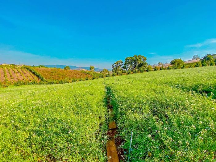 Thông tin liên hệ Kimi Farm Đà Lạt cho du khách