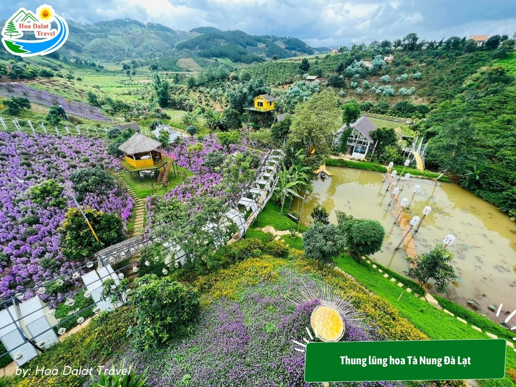 Thung lũng hoa Tà Nung Đà Lạt nên thơ và xinh đẹp