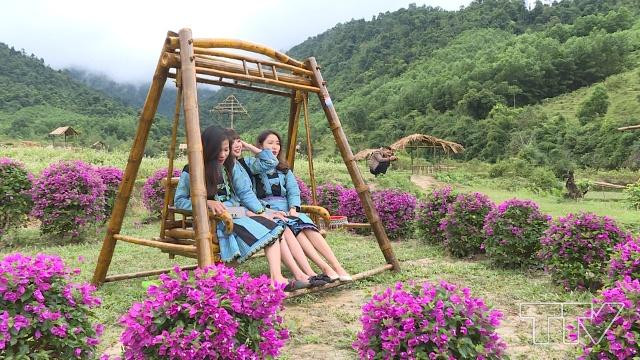 Thung lũng hoa Tam giác mạch tuyệt đẹp ở Thanh Hóa thu hút giới trẻ