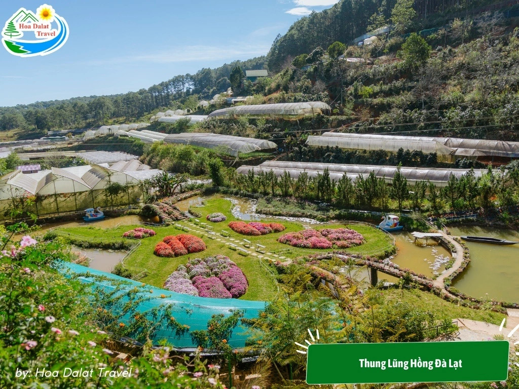 Thung Lũng Hồng Đà Lạt với những cánh đồng hoa rực rỡ và không khí trong lành