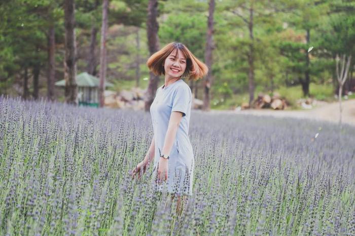 Thung lũng Tình yêu Đà Lạt rực rỡ với vườn hoa lavender tím biếc