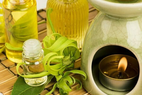 Tinh dầu hoa ngọc lan thành phẩm từ vườn nhà với nhiều ứng dụng trong cuộc sống