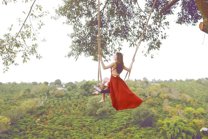 Toàn cảnh Dalaland Đà Lạt với kiến trúc độc đáo và view đồi núi