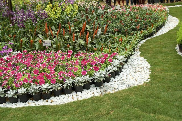 Tổng hợp hình ảnh vườn hoa đẹp nhất, lộng lẫy và đáng chiêm ngưỡng.