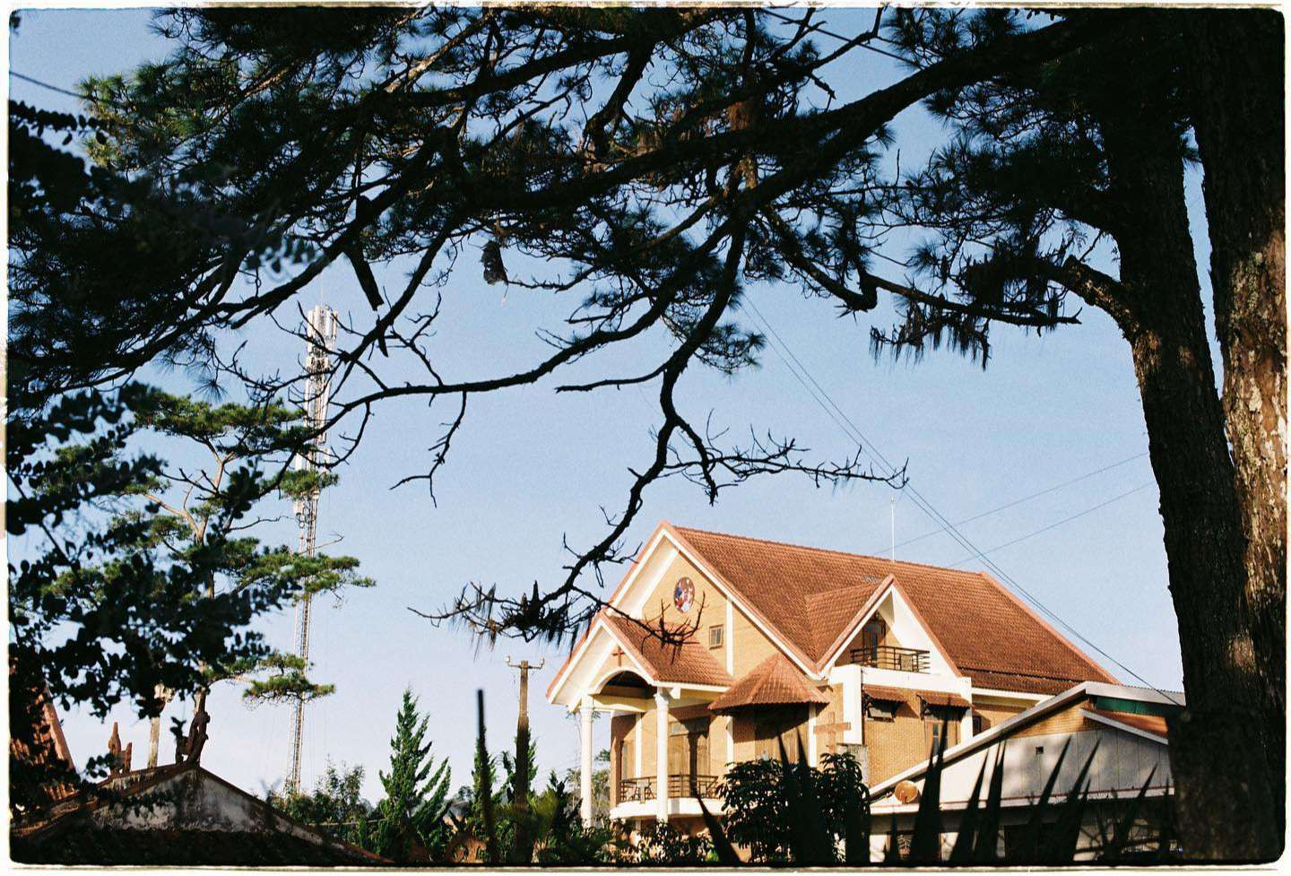 Tổng quan một ngôi nhà gỗ với vườn hoa nhỏ trong nhà phong cách homestay.