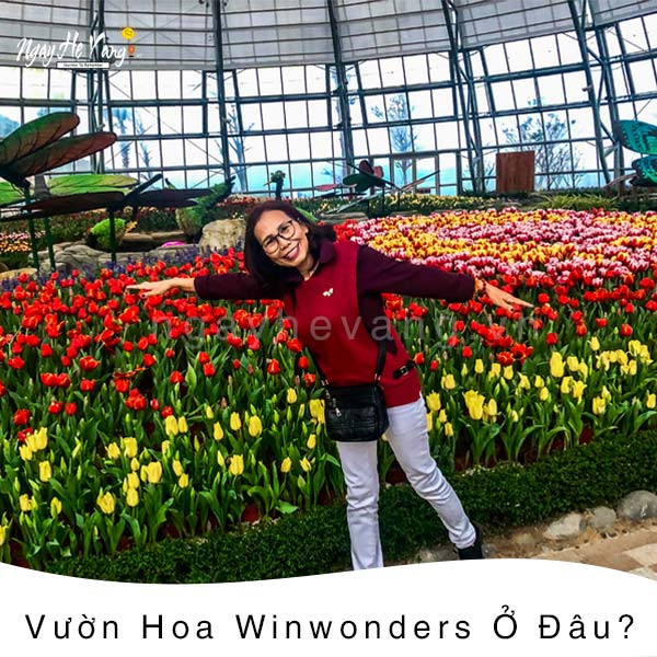 Tổng quan Vườn hoa Vinpearl Nha Trang với đồi Vạn Hoa rực rỡ sắc màu và kiến trúc độc đáo