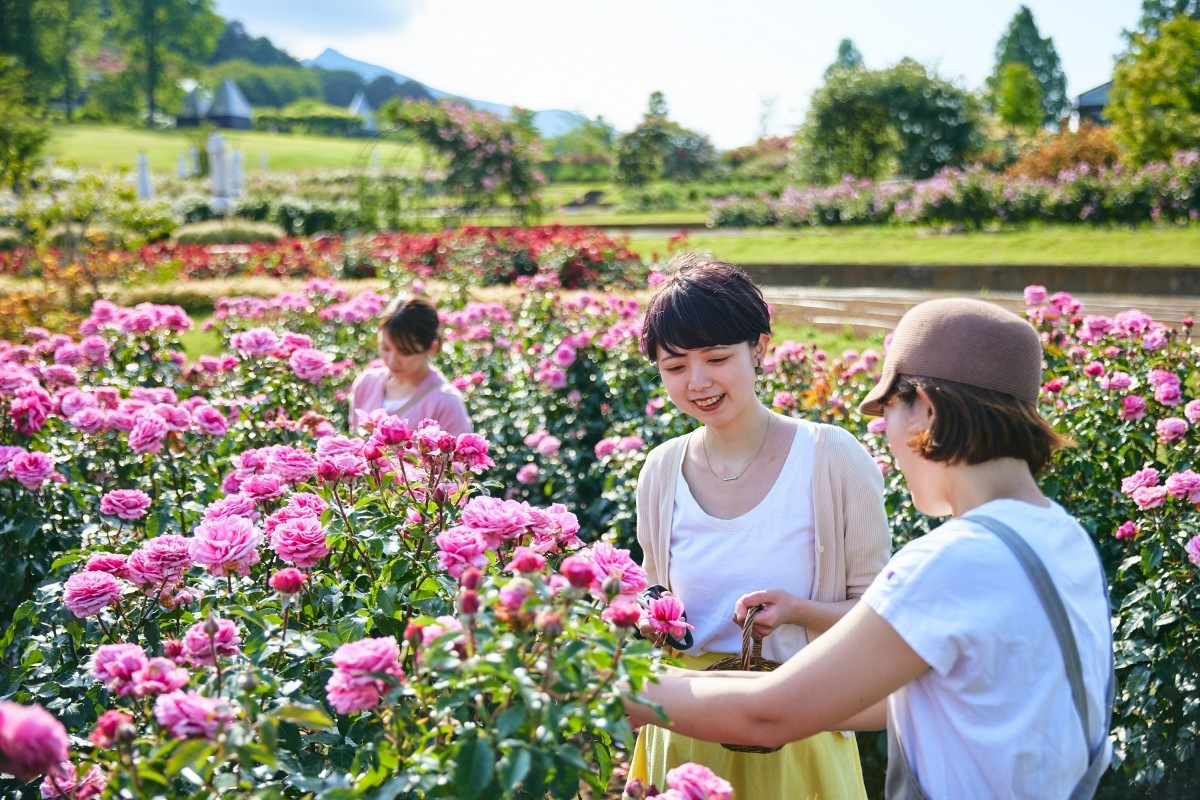 Trải nghiệm năm giác quan tại Công viên Hoa Ibaraki, Nhật Bản