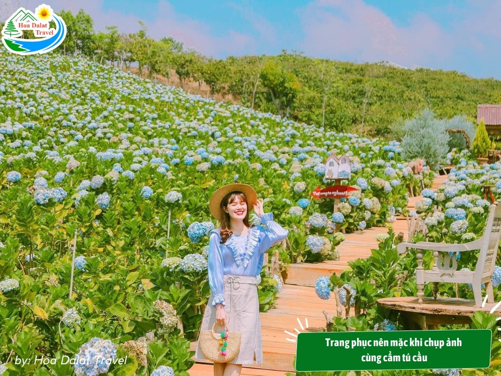 Trang phục nên mặc khi chụp ảnh cùng cẩm tú cầu