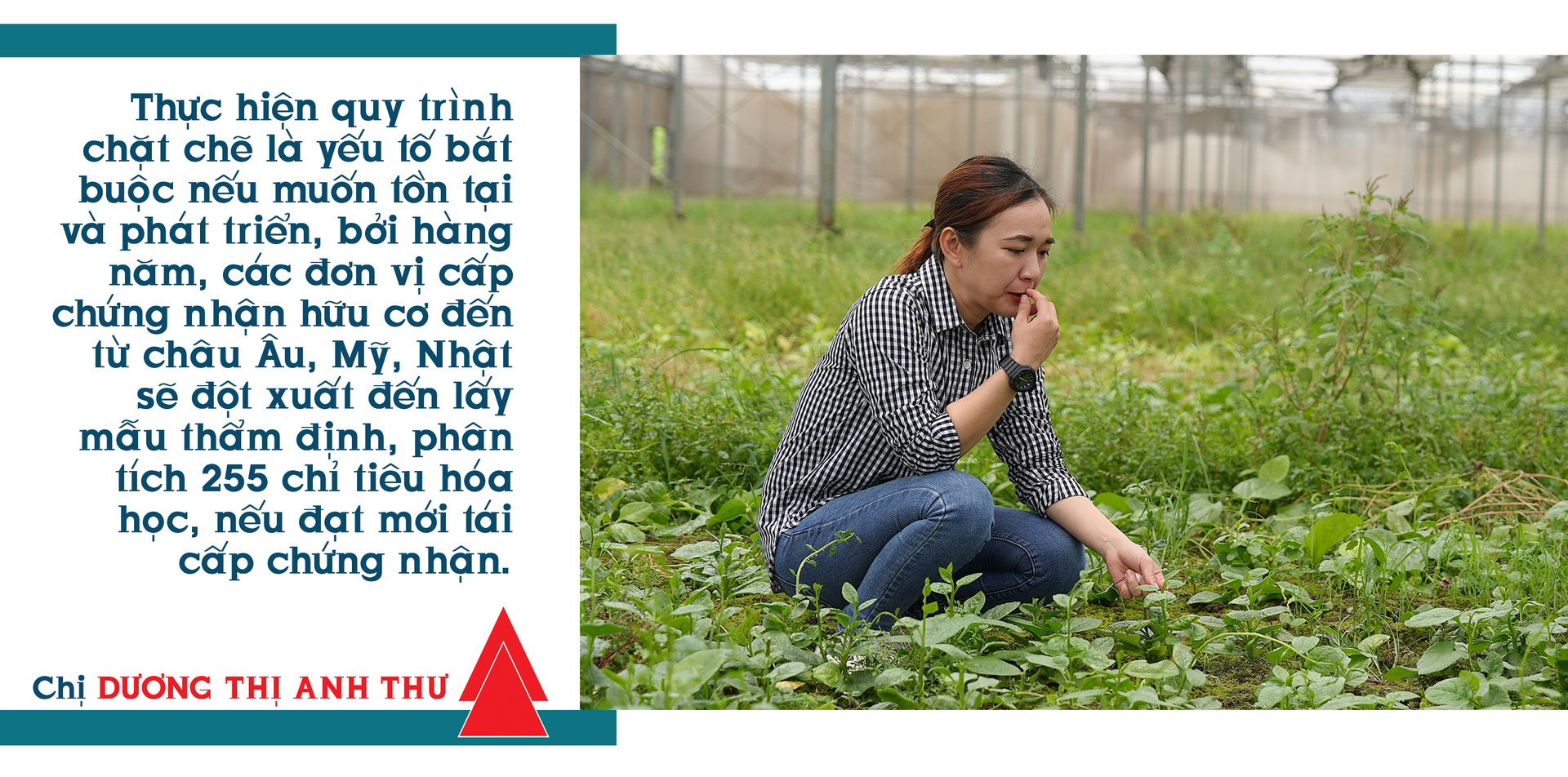 Một góc trang trại hữu cơ của CÔNG TY TNHH NÔNG NGHIỆP NHẤT THỐNG tại Nhà Bè, TP.HCM, nơi các luống rau xanh mướt được trồng trong không gian rộng rãi và thoáng đãng, thể hiện sự hài hòa giữa sản xuất nông nghiệp và cảnh quan tự nhiên