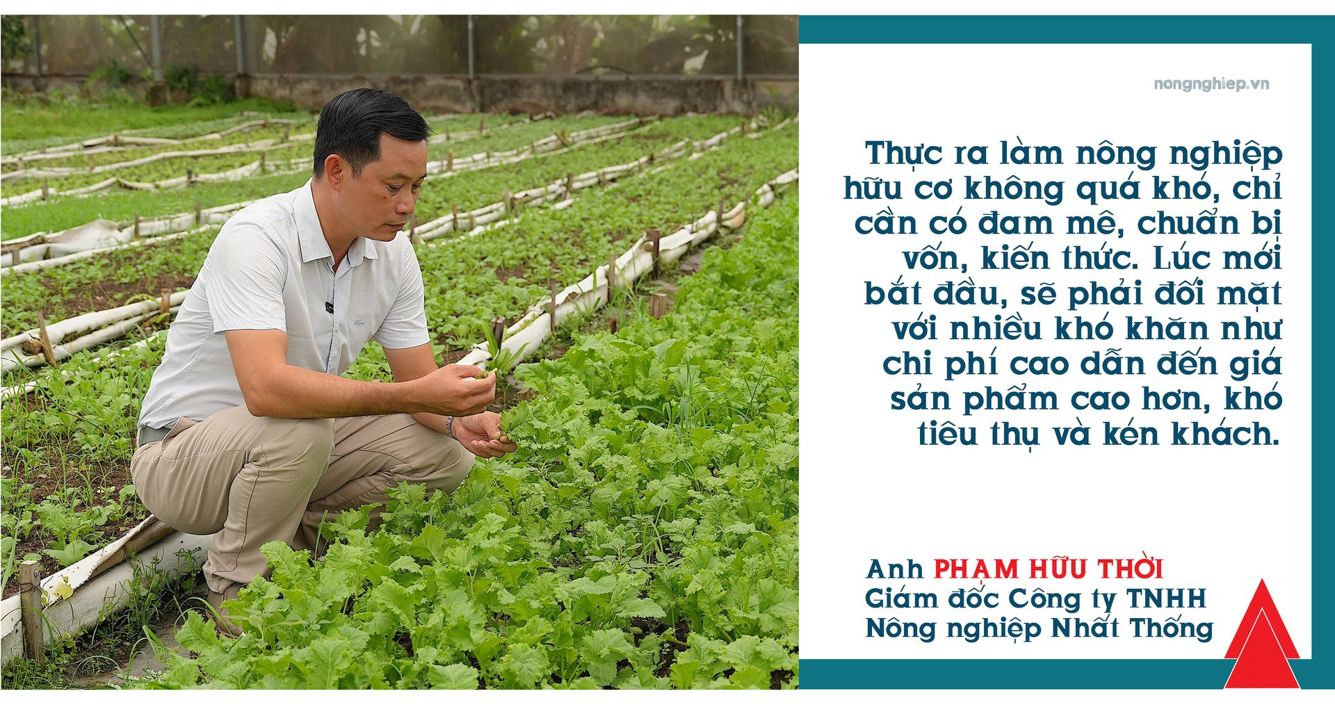 Trứng gà hữu cơ Everyday Organic của CÔNG TY TNHH NÔNG NGHIỆP NHẤT THỐNG, đại diện cho sản phẩm chất lượng cao, an toàn và bổ dưỡng