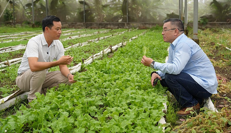 Toàn cảnh một khu vực của trang trại hữu cơ của CÔNG TY TNHH NÔNG NGHIỆP NHẤT THỐNG, với cây xanh và không gian mở, tạo môi trường lý tưởng cho hoạt động nông nghiệp bền vững