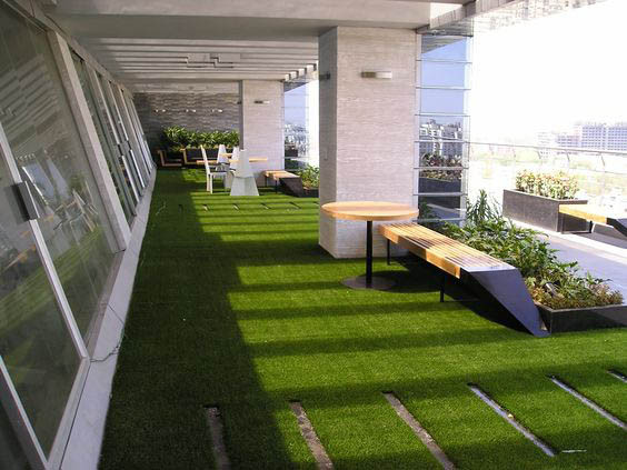 trồng cỏ nền sân thượng