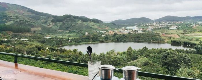 Đồn Điền Café Mê Linh Đà Lạt: Thưởng thức cà phê chồn giữa vườn cà phê và đồng hoa tuyệt đẹp.