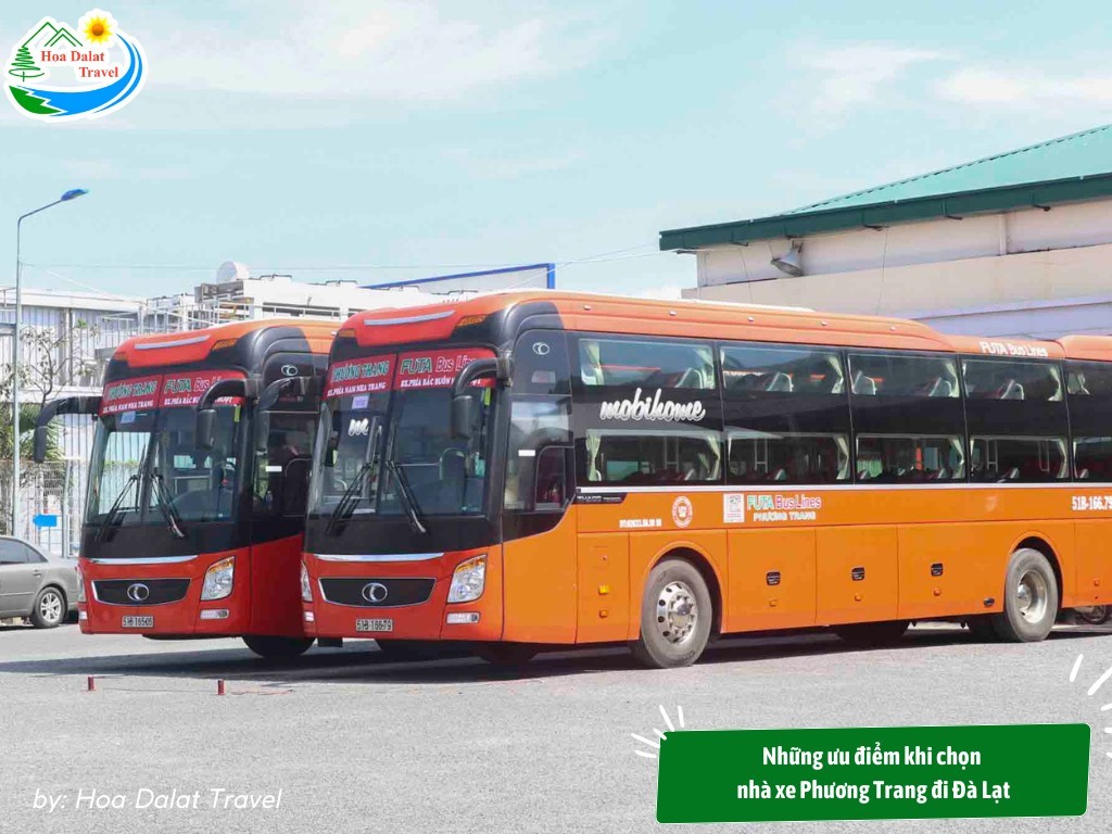 Ưu điểm khi chọn nhà xe Phương Trang đi Đà Lạt