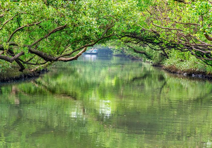 Kênh Sicao, vẻ đẹp tự nhiên Đài Nam
