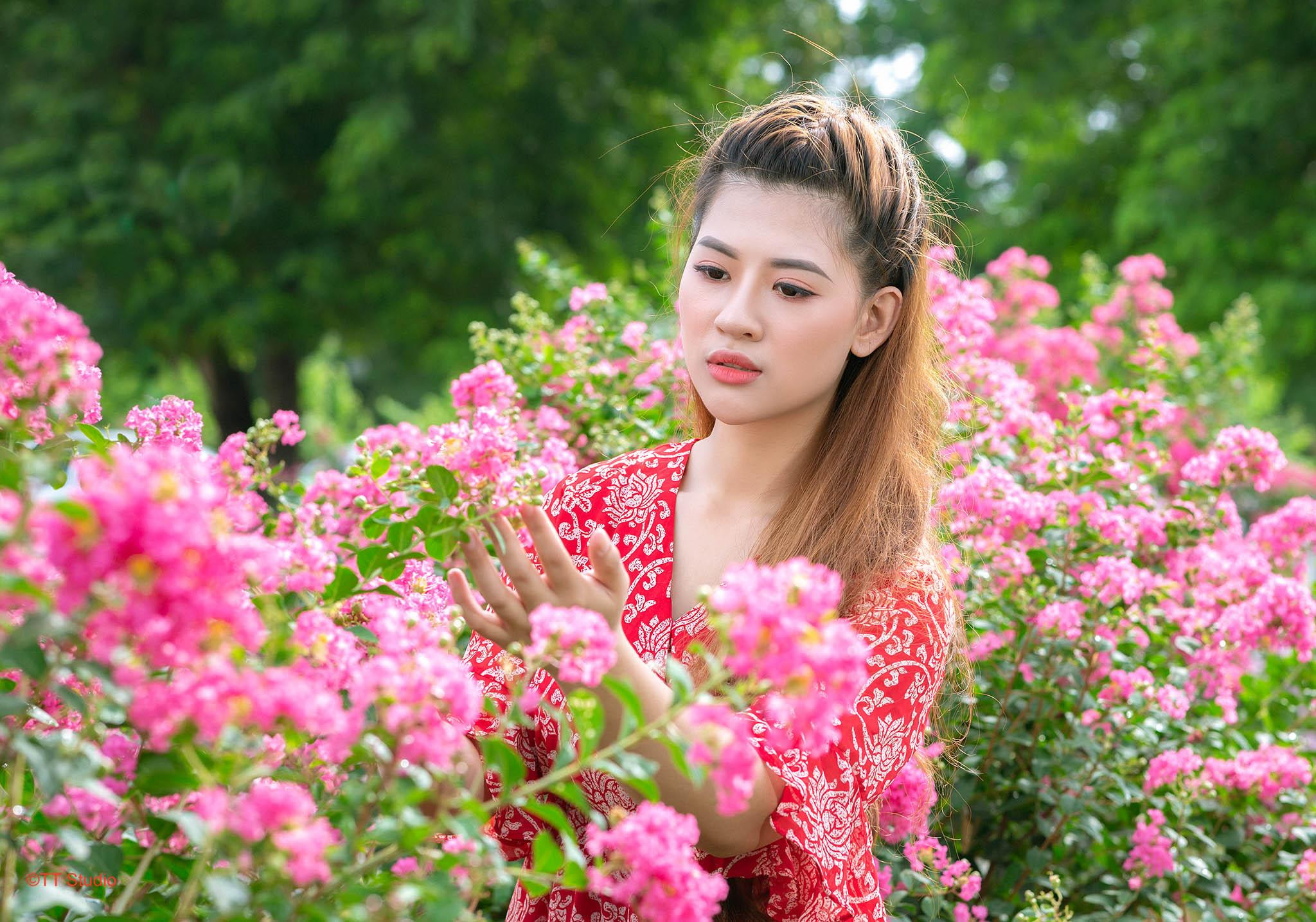 Vẻ đẹp lãng mạn của hoa tường vi Tam Hiệp Thanh Trì