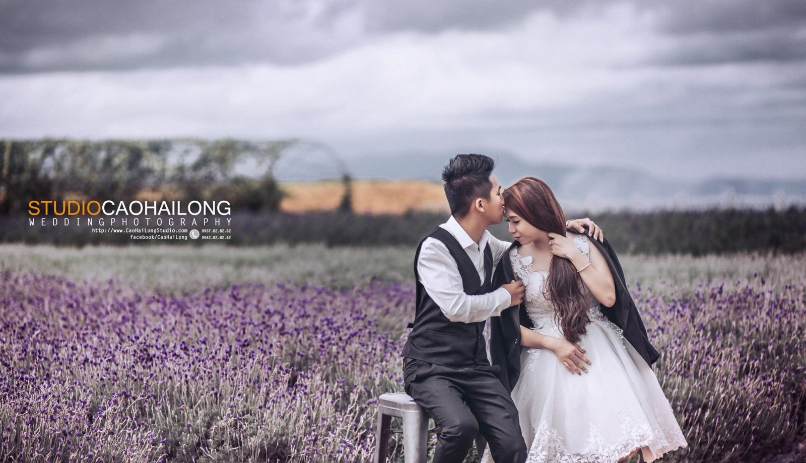 Vẻ đẹp mê hoặc của hoa oải hương Đà Lạt