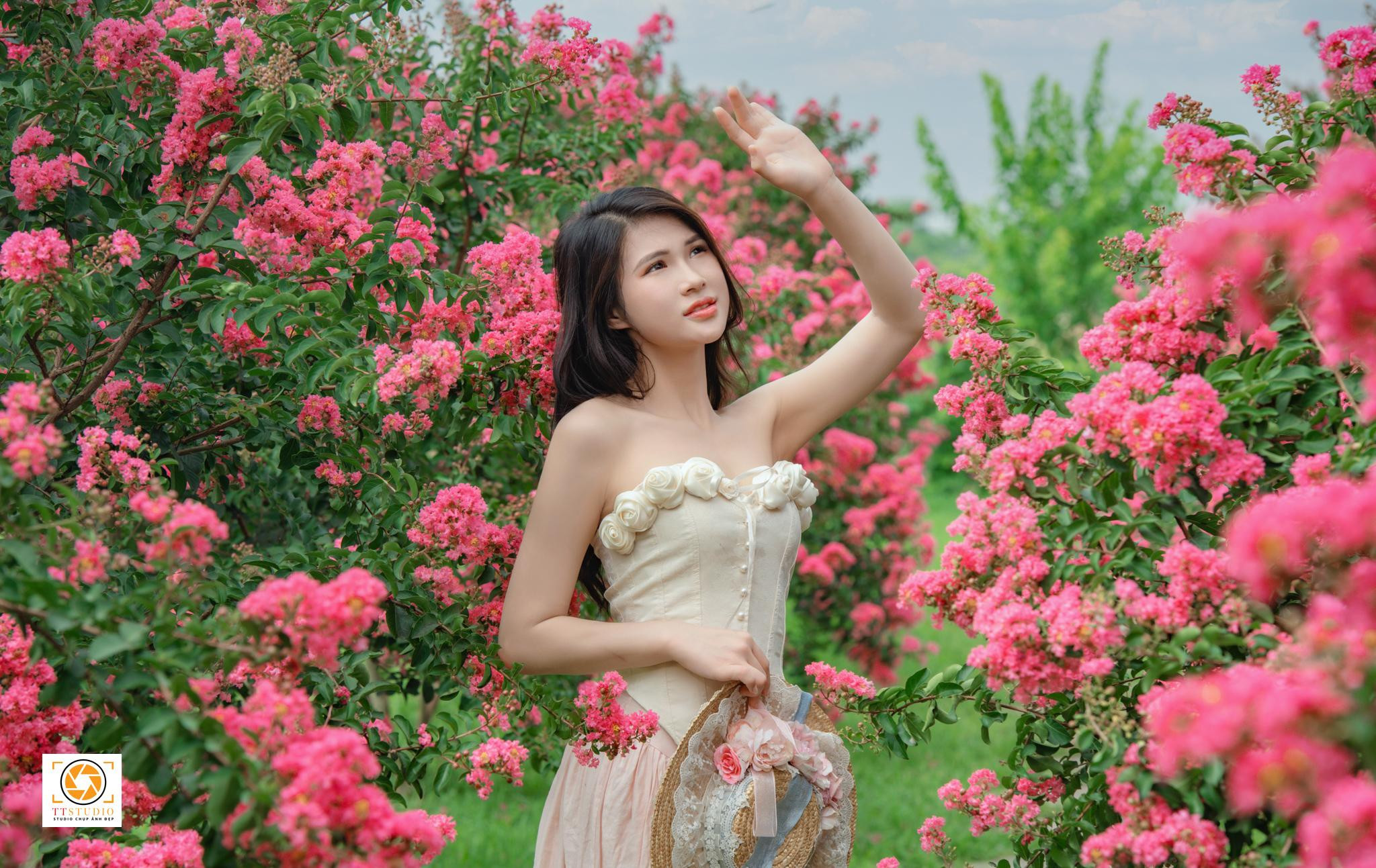 Vẻ đẹp say đắm của hoa tường vi nở rộ tại Vườn hoa tường vi Hà Nội