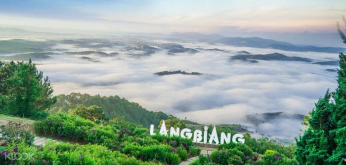 Chinh phục Đỉnh Núi Langbiang Đà Lạt để ngắm nhìn toàn cảnh thành phố và trải nghiệm các hoạt động phiêu lưu.