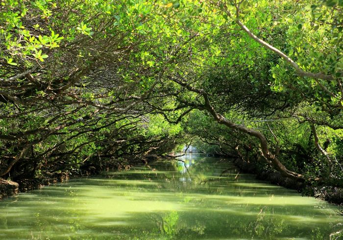 Công viên quốc gia Đài Giang, hệ sinh thái Đài Nam