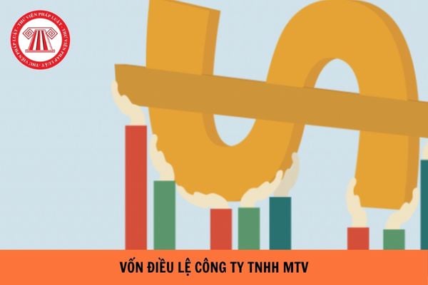 Vốn điều lệ của công ty TNHH 1 thành viên là bao nhiêu?