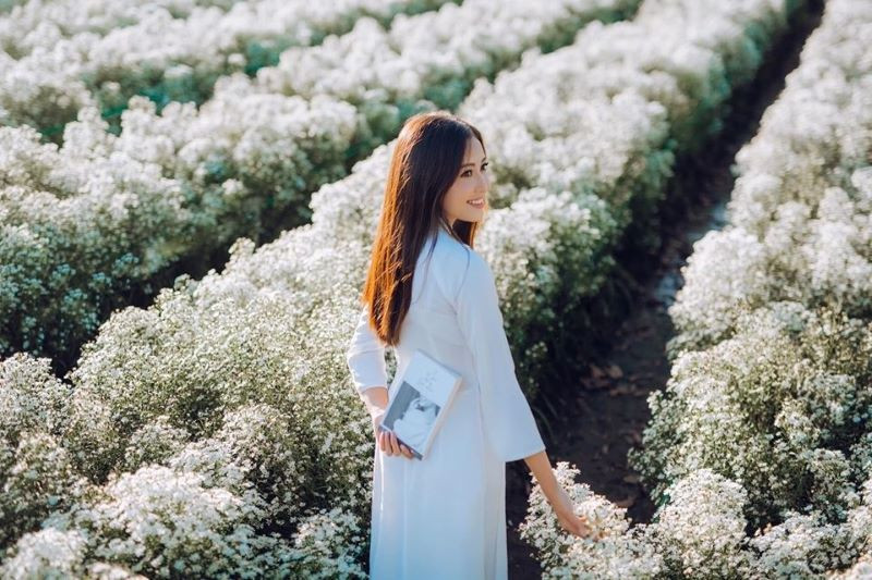Vườn hoa cúc họa mi trắng tinh khôi gần vườn thạch thảo Vũng Tàu, điểm đến không thể bỏ lỡ