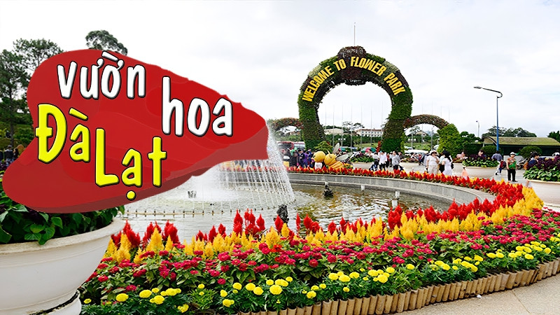 Vườn hoa Đà Lạt là một điểm đến du lịch thú vị ở Thành phố ngàn hoa