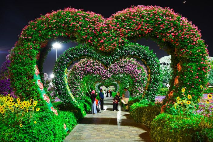 Vườn hoa đẹp hình trái tim, lãng mạn và độc đáo.