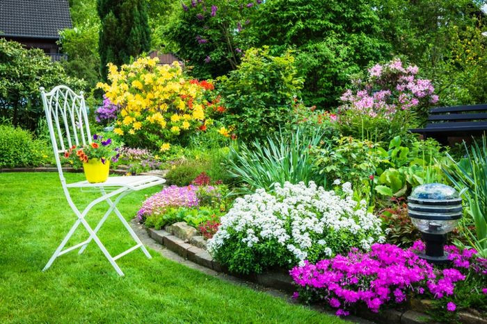 Vườn hoa đẹp nhiều màu sắc, rực rỡ và tươi tắn với sự phối hợp màu sắc hài hòa.
