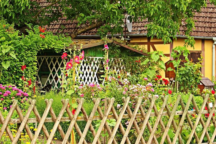 Vườn hoa đẹp trước nhà, điểm nhấn xinh xắn cho không gian sống.