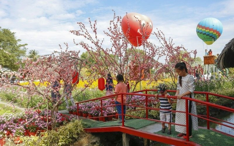 Vườn hoa Hóc Môn với chiếc cầu gỗ nhỏ xinh