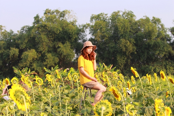 Nhiều bạn trẻ tìm đến vườn hoa hướng dương ở Huế sau khi thấy hình ảnh được chia sẻ rộng rãi trên mạng xã hội.