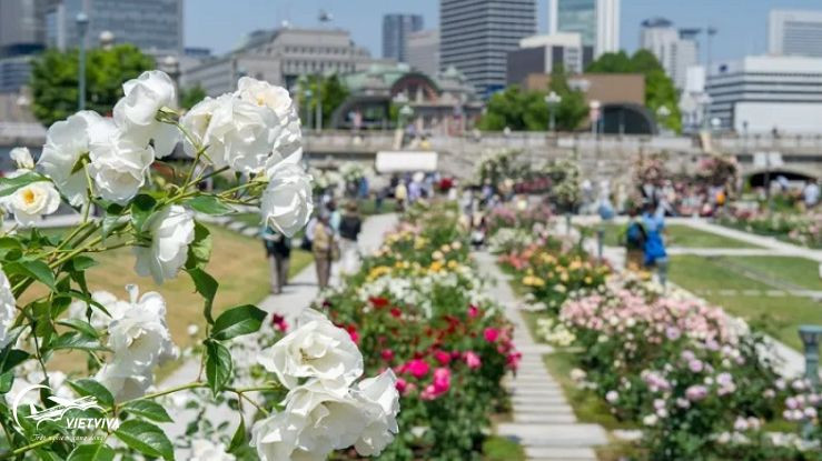 Vườn hoa Nakanoshima ở đất nước mặt trời mọc