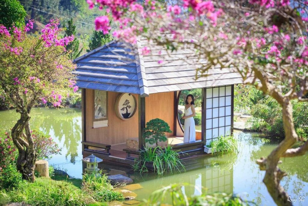 Vườn hoa Nhật Bản dưới chân đèo Mimosa, mang đến không gian văn hóa độc đáo giữa các vườn hoa nổi tiếng ở Đà Lạt.