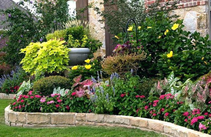 Vườn hoa nhiều màu sắc đẹp, rực rỡ và đầy sức sống.