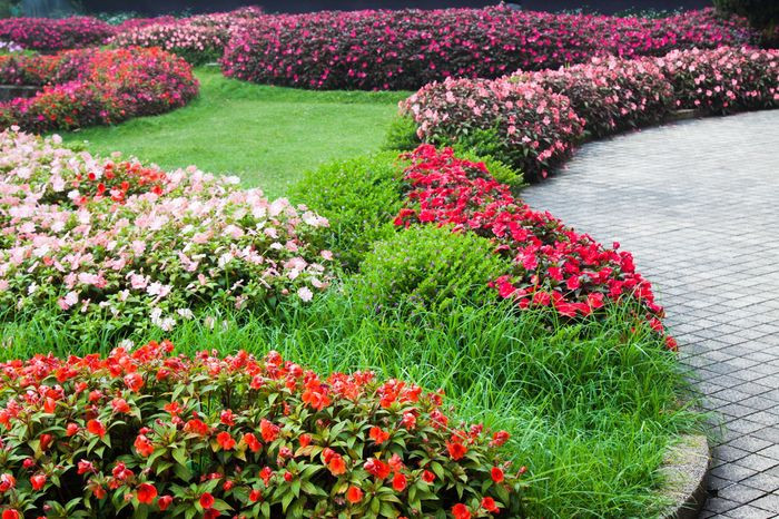 Vườn hoa rộng đẹp, không gian xanh mát và bình yên, với hồ nước và cây cầu gỗ.